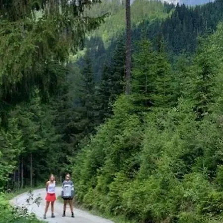 Quaint Mansion Near Bus In * Goldegg